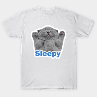 vintage-sleepy cat T-Shirt